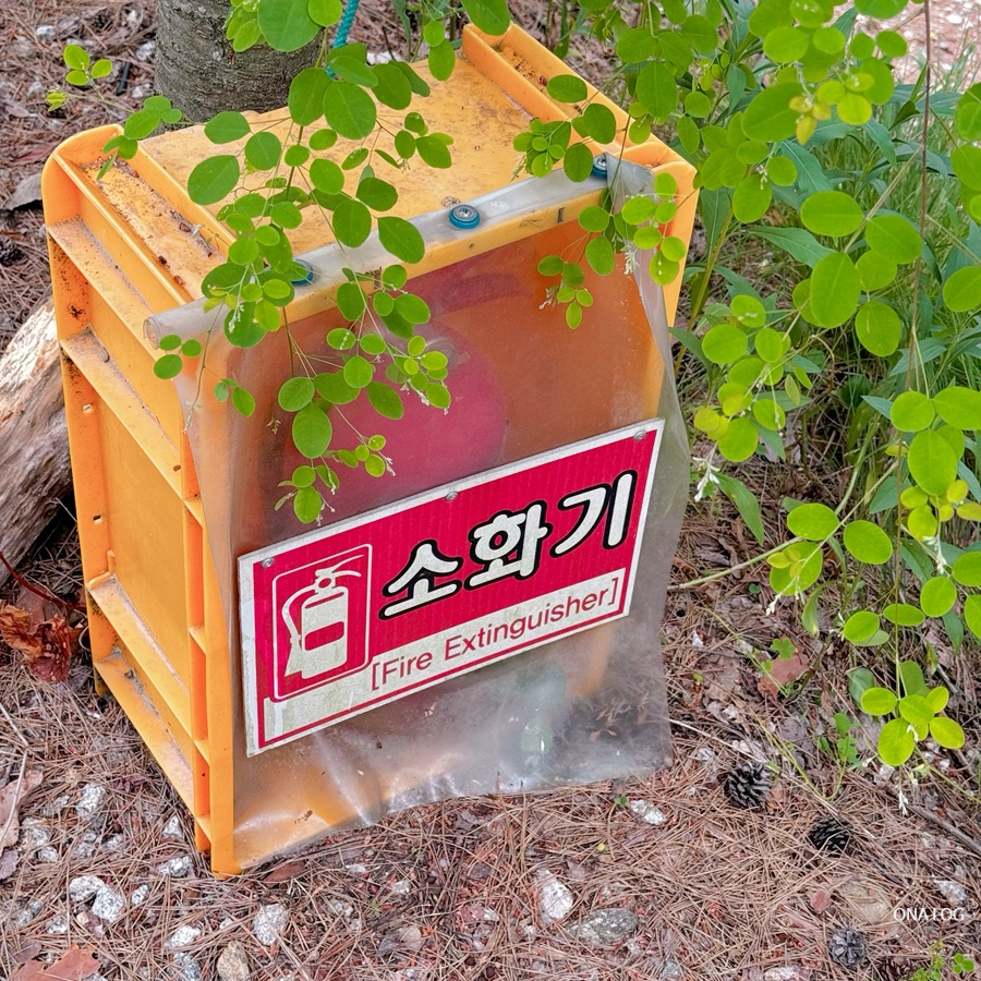 아리솔캠핑장 사진 3