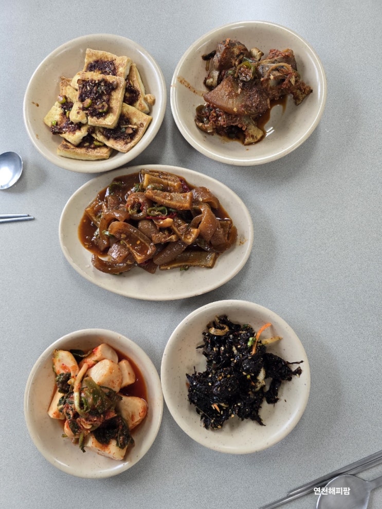 동중리경로당 대한노인회 연천군지회 마을회관 점심식사