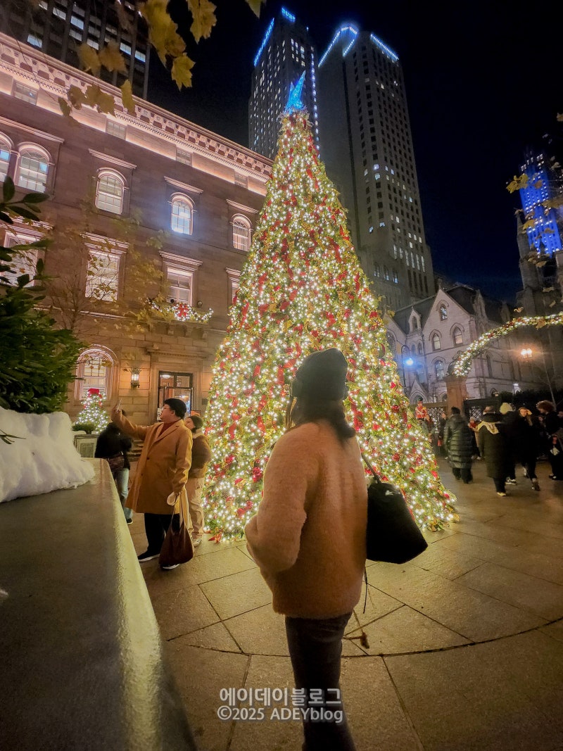 미국 여행 뉴욕 크리스마스트리 가볼 만한 곳 추천 +연말 뉴욕 사진 찍기 좋은 곳 : 네이버 블로그, image size:800x1067