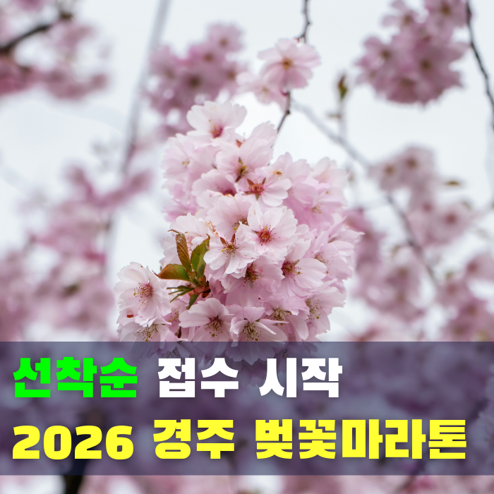  선착순 모집! 제33회 2026 경주 벚꽃 마라톤 대회 접수 일정과 참가비