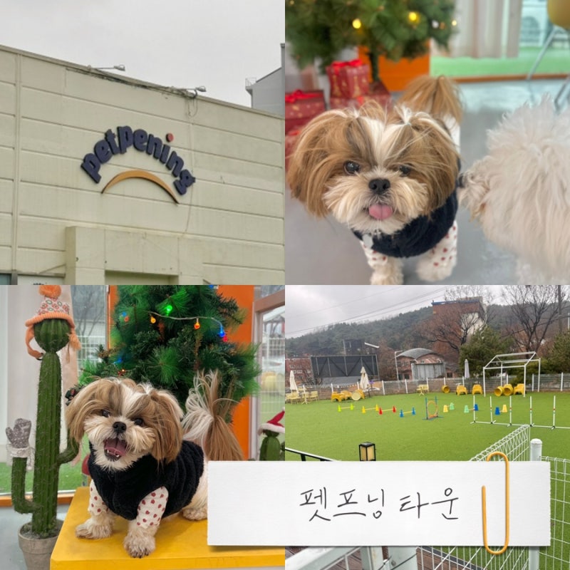 사진 2