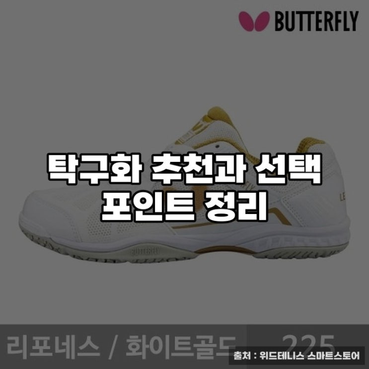  탁구화 추천과 선택 포인트 정리