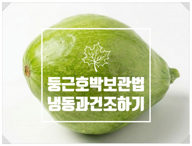 둥근호박 냉동보관 & 건조기로 일 년 내내 먹는 법 (못난이 호박의 변신)