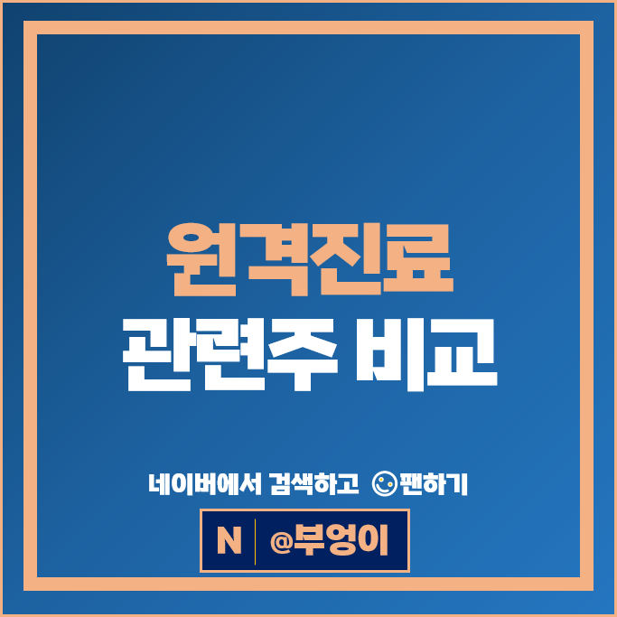 비대면 원격진료 관련주 유비케어 나노엔텍 주가 마크로젠 메디포스트 차바이오텍 주식