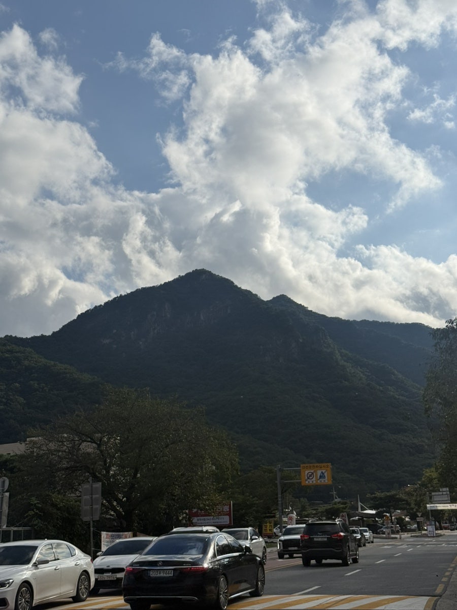 여명 사진 2