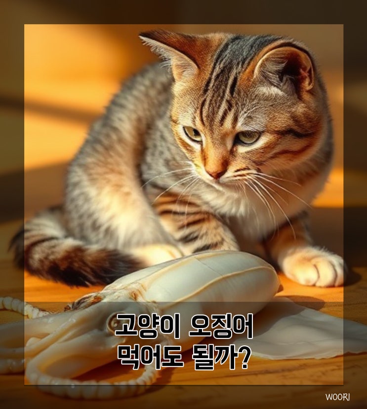  고양이 오징어 먹어도 될까? 급여 방법과 주의점