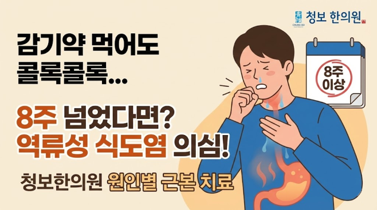  감기약 먹어도 3주 넘게 콜록콜록… 혹시 역류성 식도염일까요? (겨울철 마른 기침 원인과 치료 총정리)