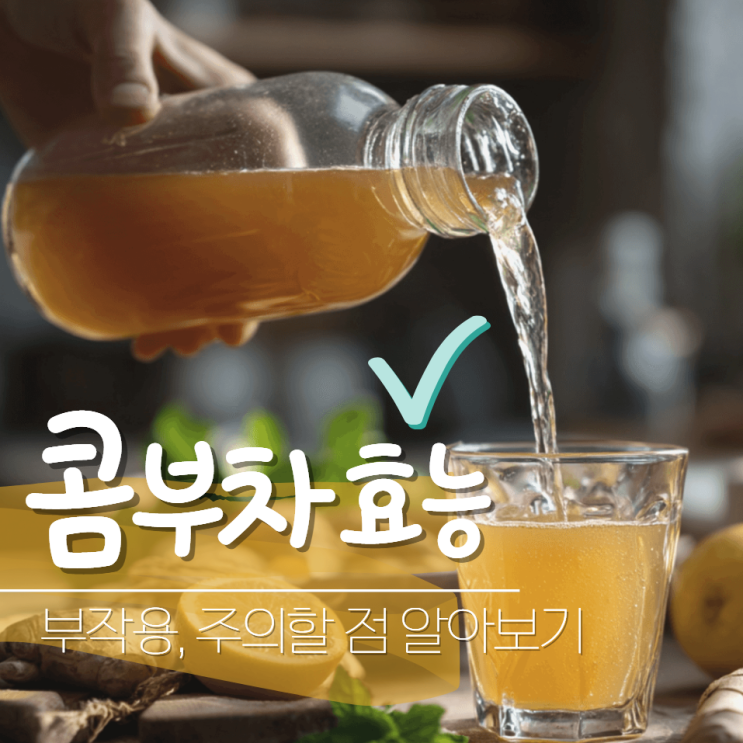  콤부차 효능 부작용 카페인 임산부