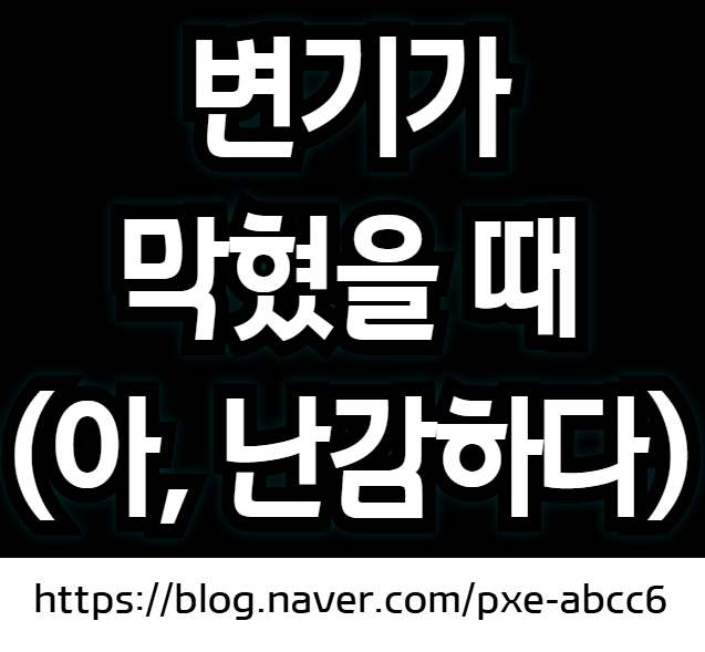변기 막혔을 때 (변기 막힌 것 쉽게 뚫는 법, 변기 뚫는 비용)