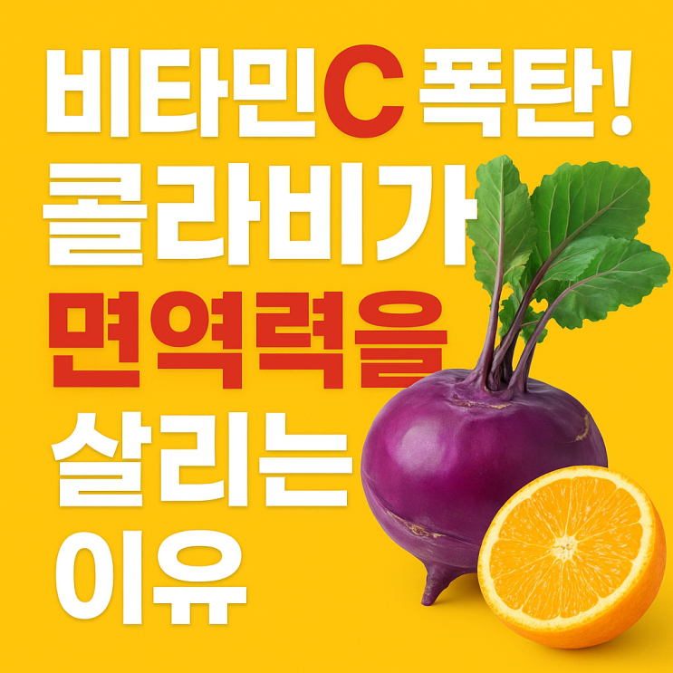   콜라비 면역력 강화 효과, 비타민C 중심으로 제대로 보기