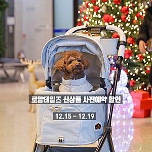 로얄테일즈 신상품 맥스, 크라운백, 듀얼가드 온라인 사전예약(12.15-19)