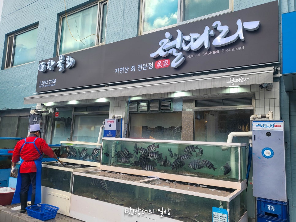 철따라자연산 사진 1
