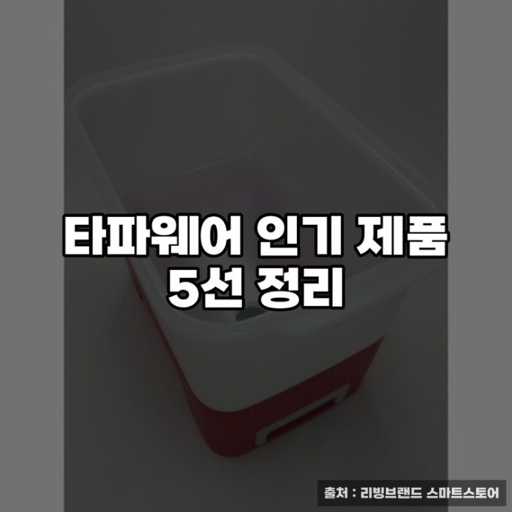  타파웨어 인기 제품 5선 정리