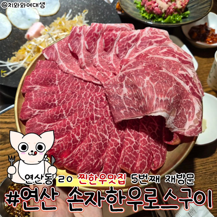  연산동 고기집 손자한우로스구이 소고기 맛집 재방문