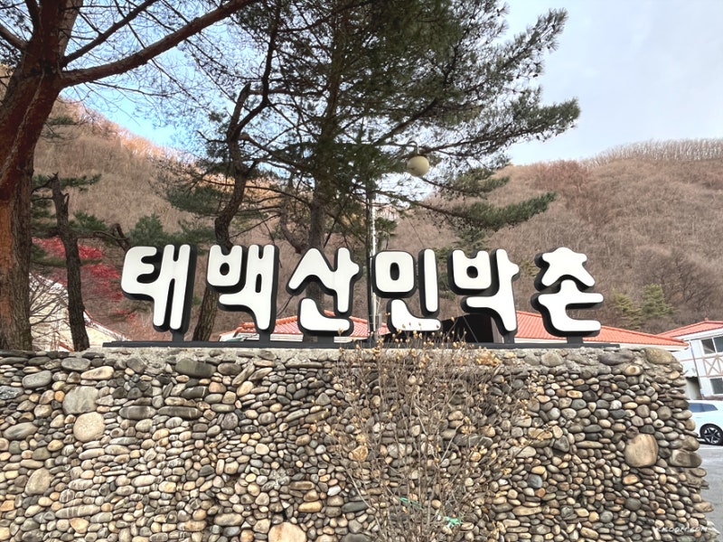 태백산 민박촌 예약, 가족형 이용후기 - 겨울여행지 숙소 추천