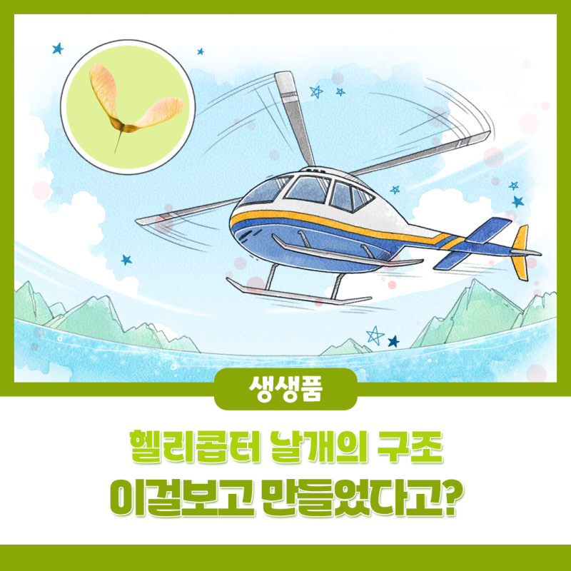 [생생품] 헬리콥터 날개의 비밀, 바로 이 씨앗이라고요?