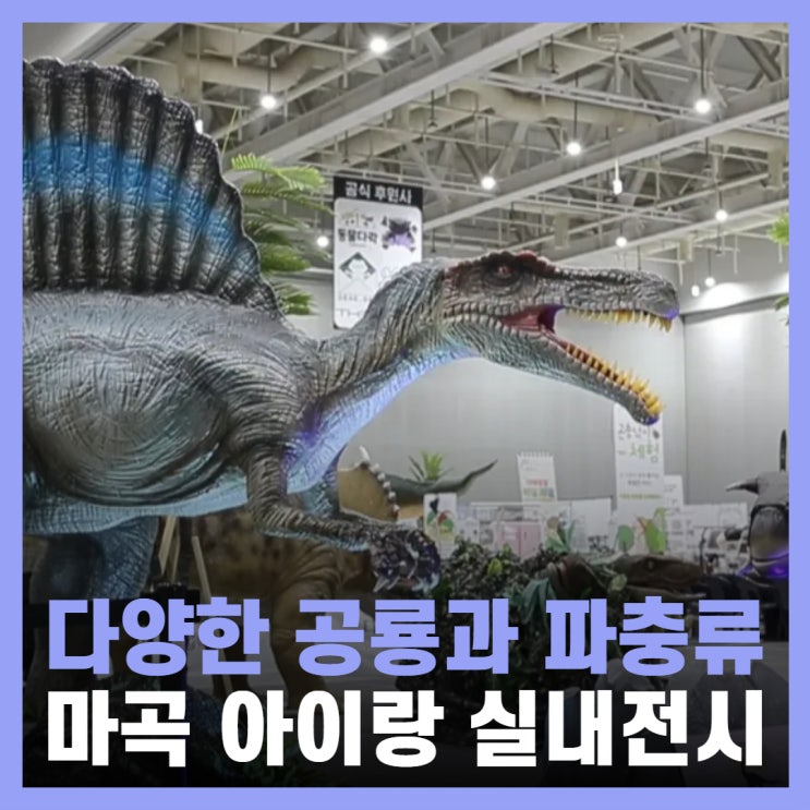  서울 실내 아이랑 가볼만한곳 마곡 공룡파충류박람회