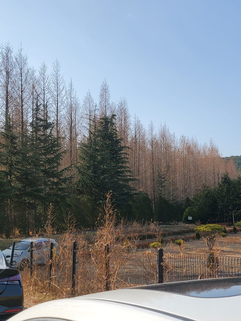 사진 6