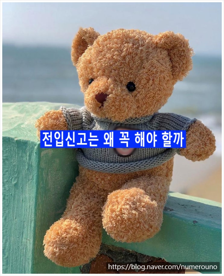  전입신고는 왜 꼭 해야 할까