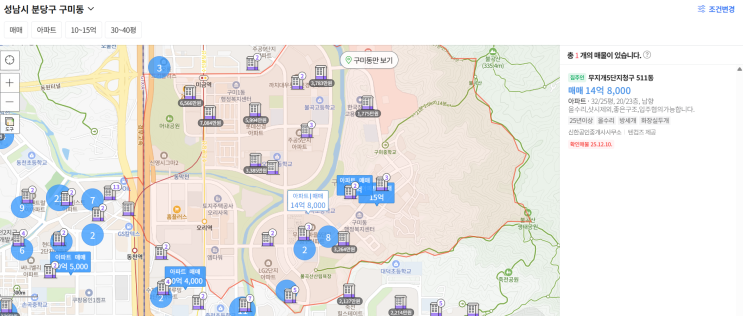  분당 국평 15억, 정말 못 사는 시대가 왔을까?