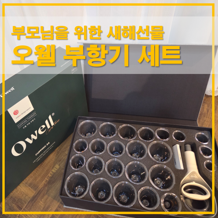  오웰 부항기 세트 구성과 사용법 신년맞이 부모님을 위한 새해선물
