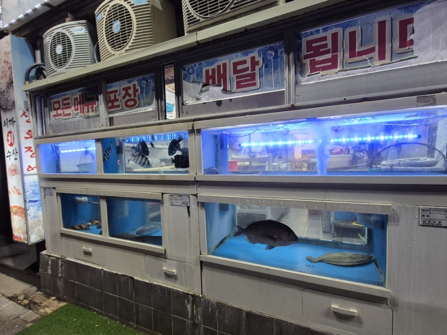 이까수산 상인점 사진 3