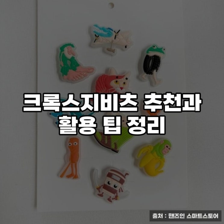  크록스지비츠 추천과 활용 팁 정리