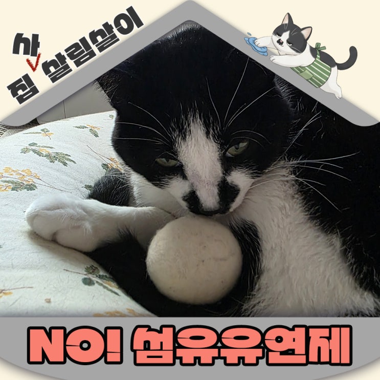  고양이집 섬유유연제가 위험한 이유 대체 세탁방법