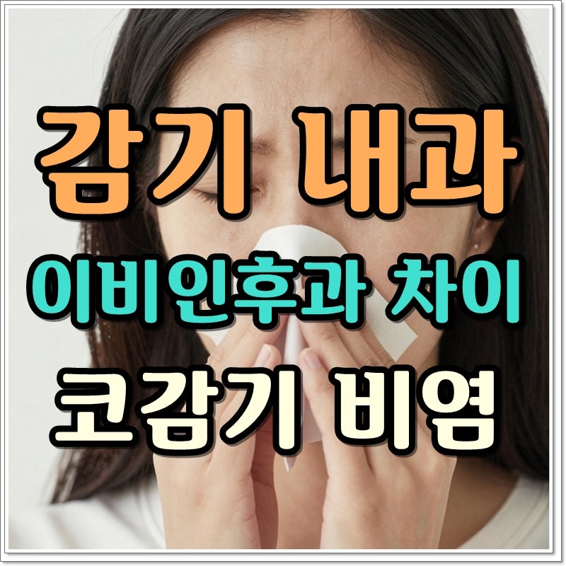 감기 내과 이비인후과 차이 코감기 비염