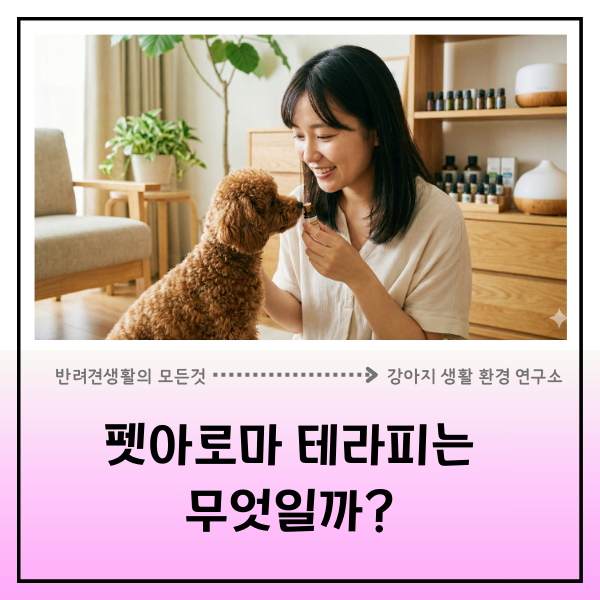  펫 아로마 테라피, 향기 하나로 반려견과 보호자가 행복해지는 법