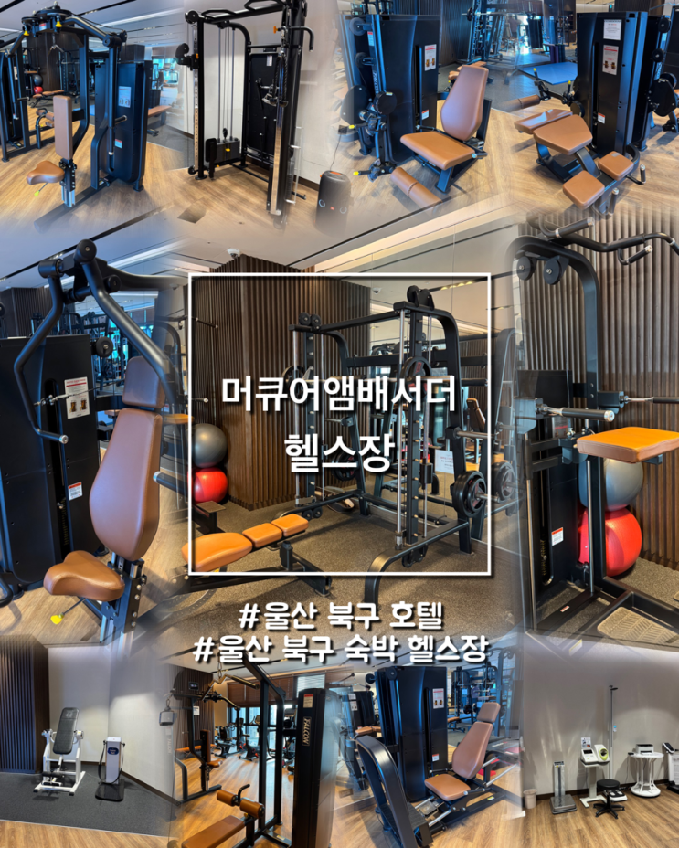  울산 머큐어앰배서더, 엠버서더호텔 헬스장 일일권 후기