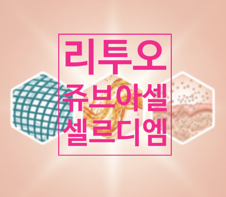  리투오 쥬브아셀 셀르디엠 ECM부스터를 비교해보자 (정보전달)