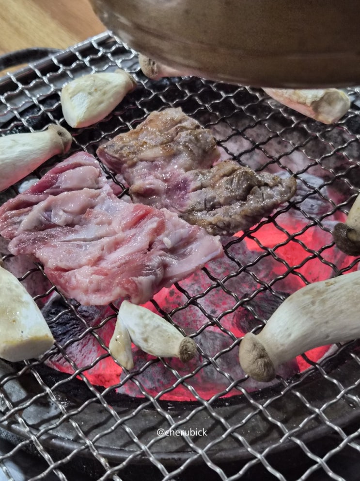  안동 맛집 내돈내산, 안동 갈비골목 일품갈비