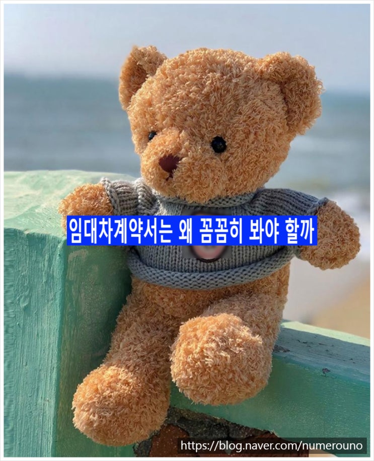  임대차계약서는 왜 꼼꼼히 봐야 할까