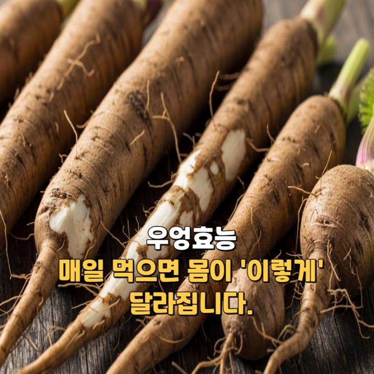  우엉효능, 매일 먹으면 몸이 '이렇게' 달라집니다.