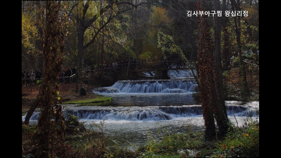 김사부아구찜 왕십리점 사진 4
