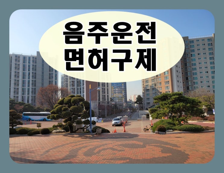  제천 행정사 음주운전 단속과 구제 방안