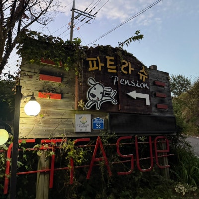 사진 12