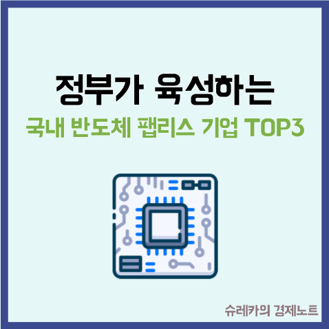  정부가 육성하는 국내 반도체 팹리스 기업 TOP3