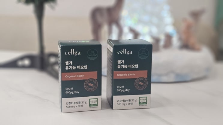  머리카락 빠짐 개선 셀가 유기농 비오틴 영양제 맥주효모 건강기능식품