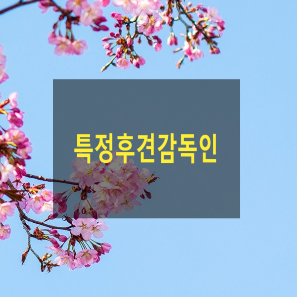  특정후견감독인(17)(후견감독인, 가정법원, 사임, 경질)