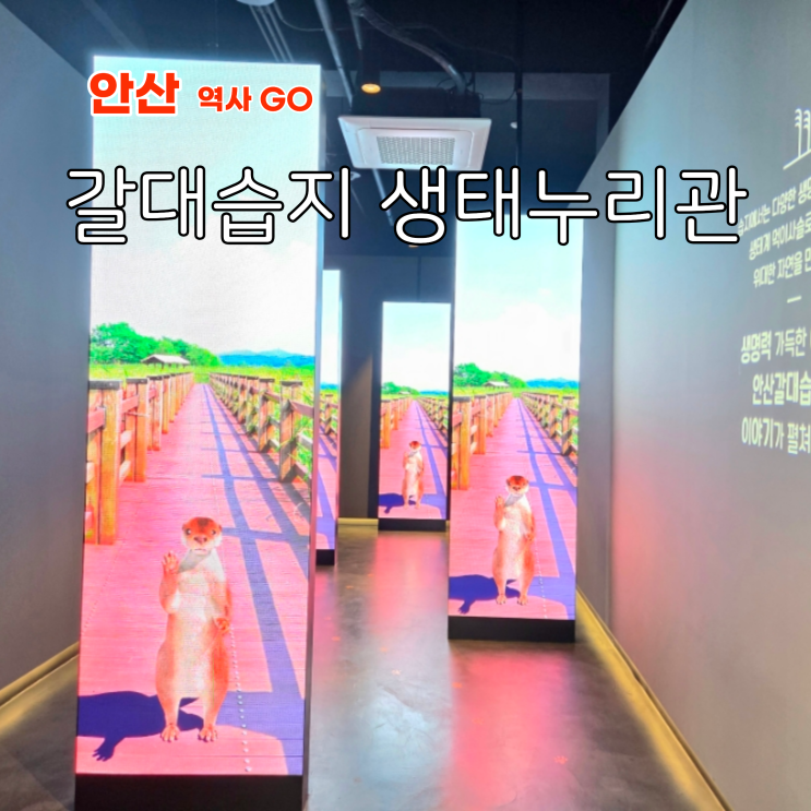  안산 실내 데이트 경기도 이색 여행 코스 안산갈대습지 생태누리관