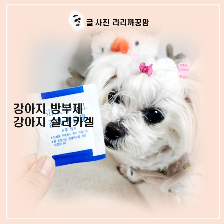  강아지 방부제(탈산소제) & 실리카겔 먹었을 때 대처법!