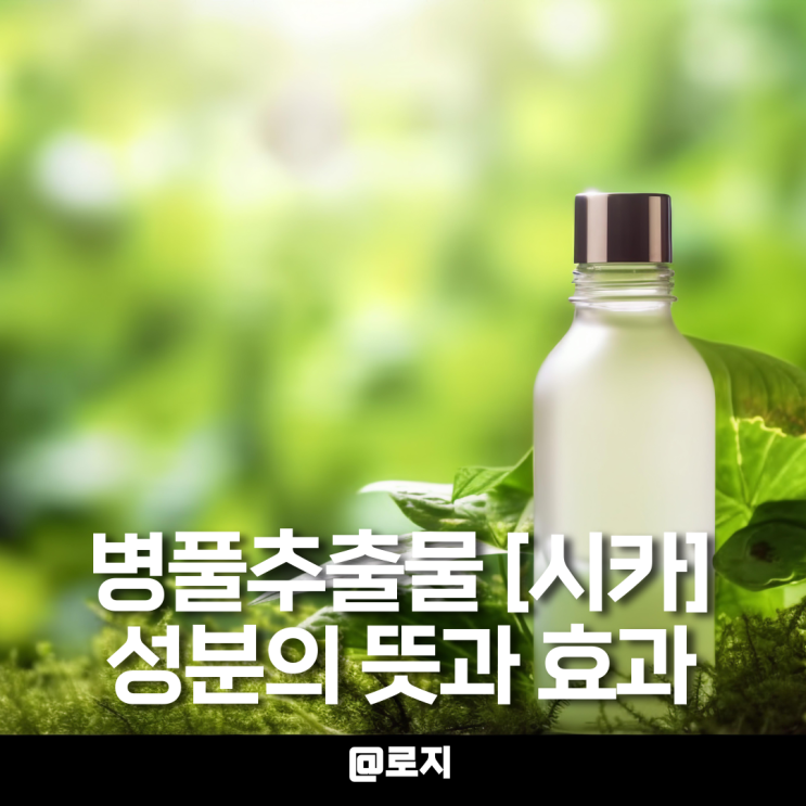  병풀추출물 시카 뜻 효능 효과 특징 사용법
