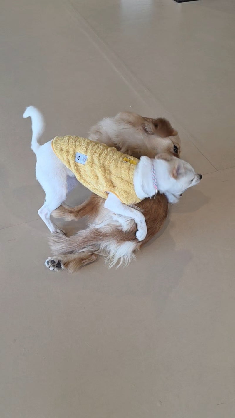 사진 2