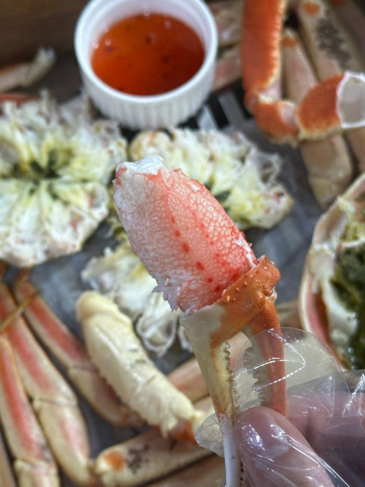  속초 동명항대게 맛집 팔도대게찜 가성비 좋은 찐맛집