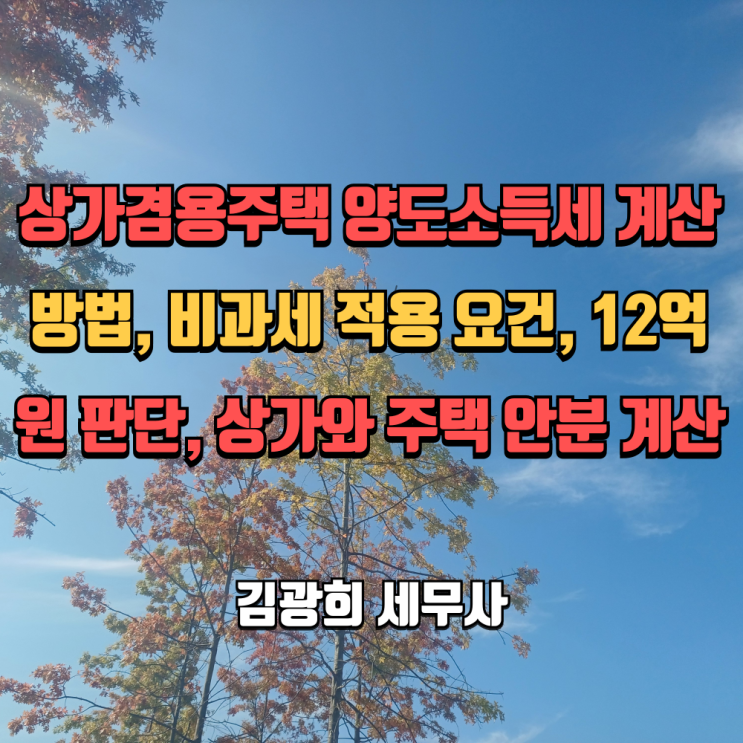  상가겸용주택 양도소득세 계산방법, 비과세 적용 요건, 12억원 판단, 상가와 주택 안분 계산