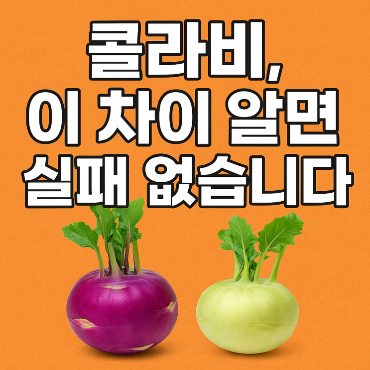   콜라비 고르는 법 — 신선한 콜라비 구별 팁