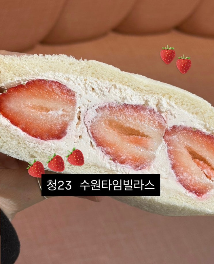  수원역 디저트 선물로 딱 좋은! 청 23 타임빌라스 과일 산도 후기