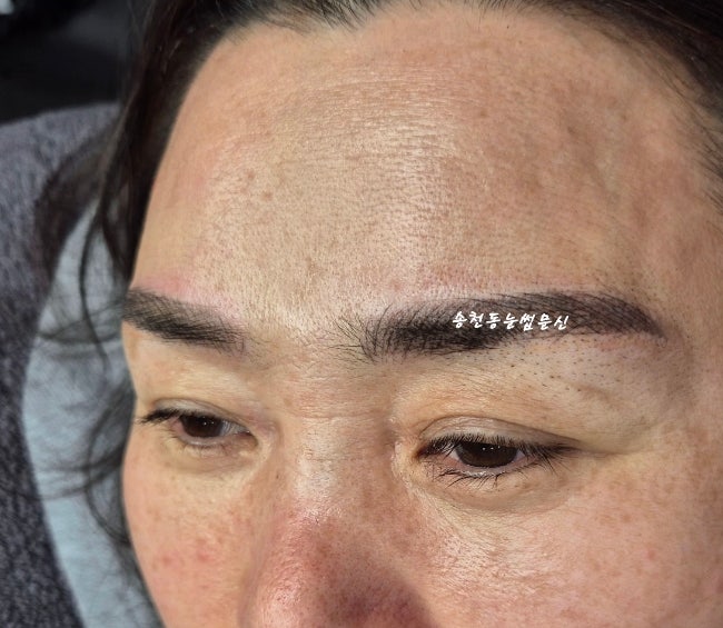  전주 송천동 눈썹모양별 성격 해석 , 눈썹관상에 따른 눈썹문신